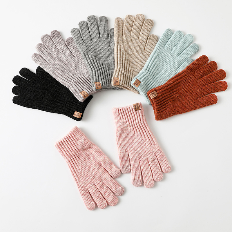 Women Winter Thickened Fleece  - Wool Glove Lined 评论和价格
